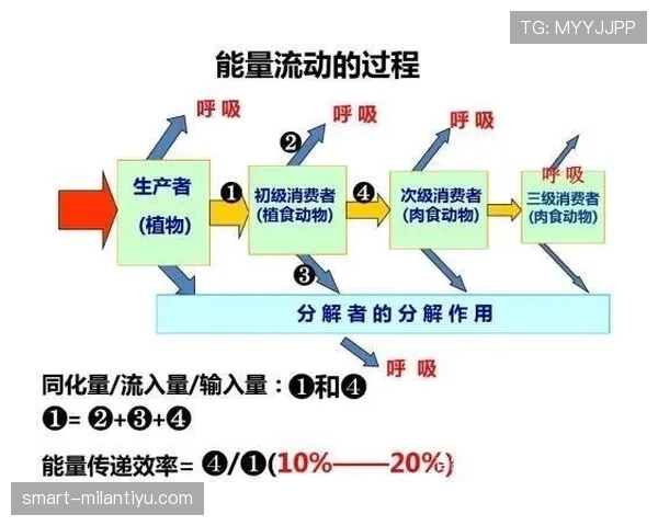 角球直接得分算进球吗?规则中那些易被忽略的细节解析 角球直接得分算进球吗?规则中那些易被忽略的细节解析